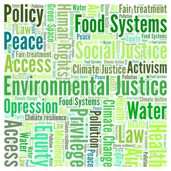 Environmental Justice WordCloud