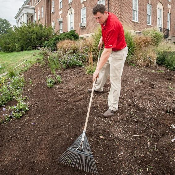 Man raking with a red shirt on.