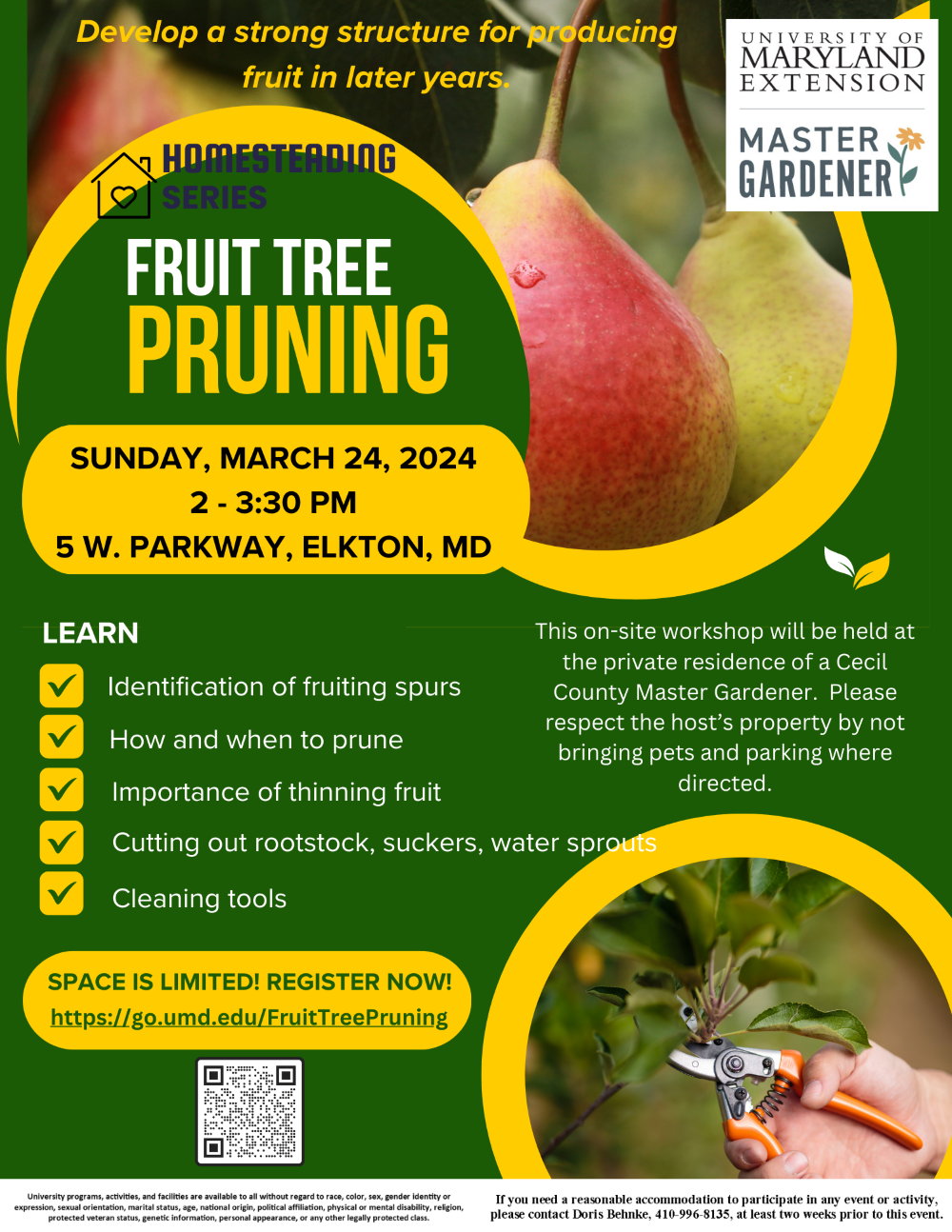 Fruit Tree Pruning