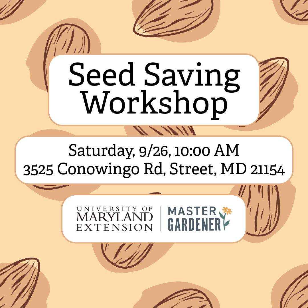 Seed saving workshop flyer with date, September 26th, and the Master Gardener logo on a background of seeds