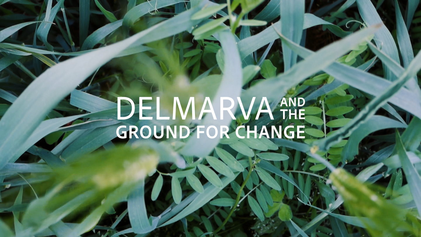 Background of green leaves with Delmarva and the Ground for Change text in white