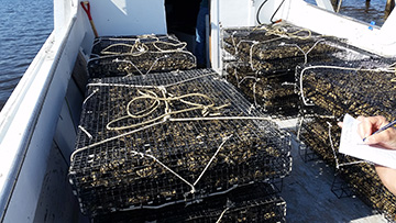 image of oyster cages on boat deck