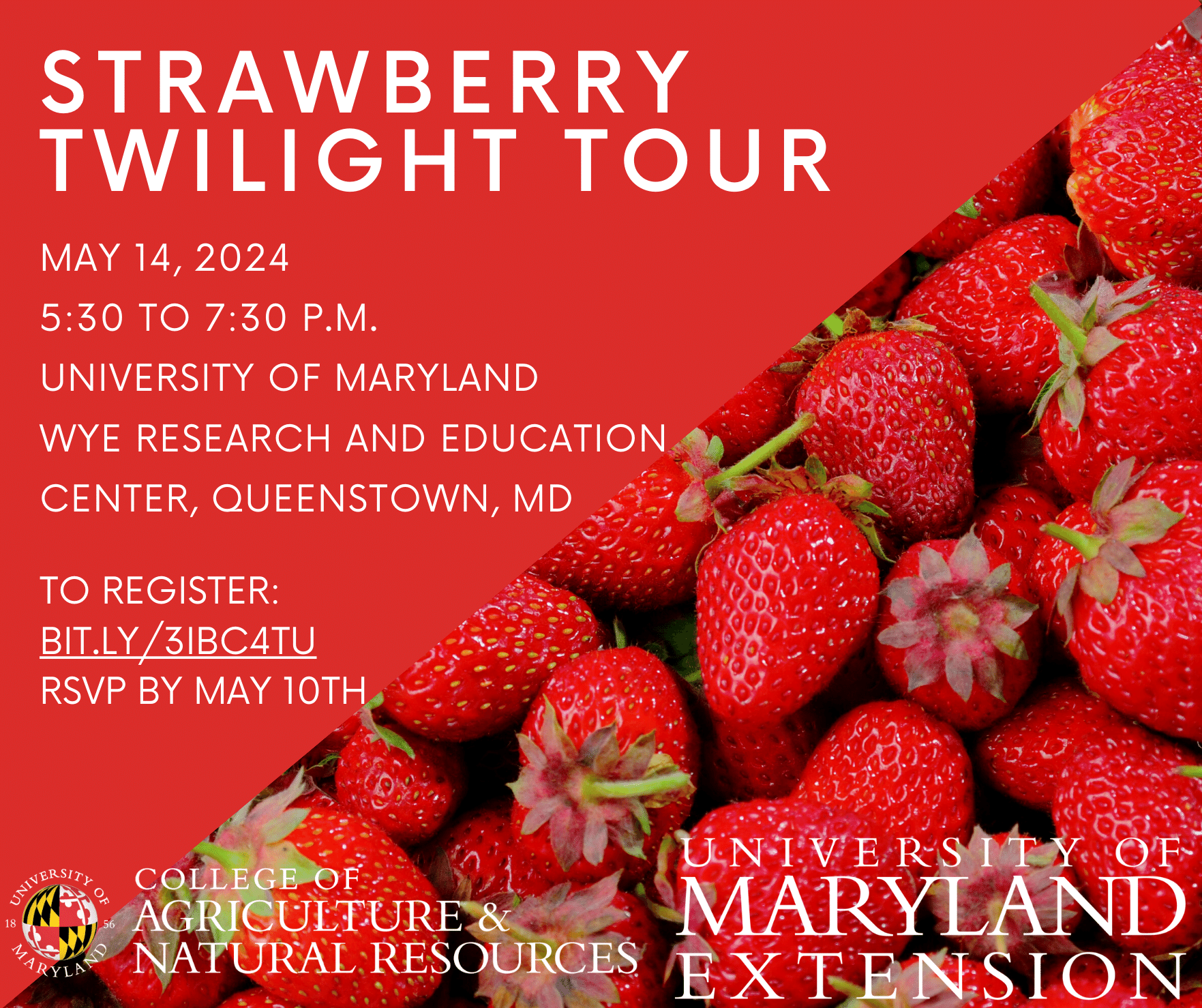 2024 Strawberry Twilight Tour at Wye Research and Education Center