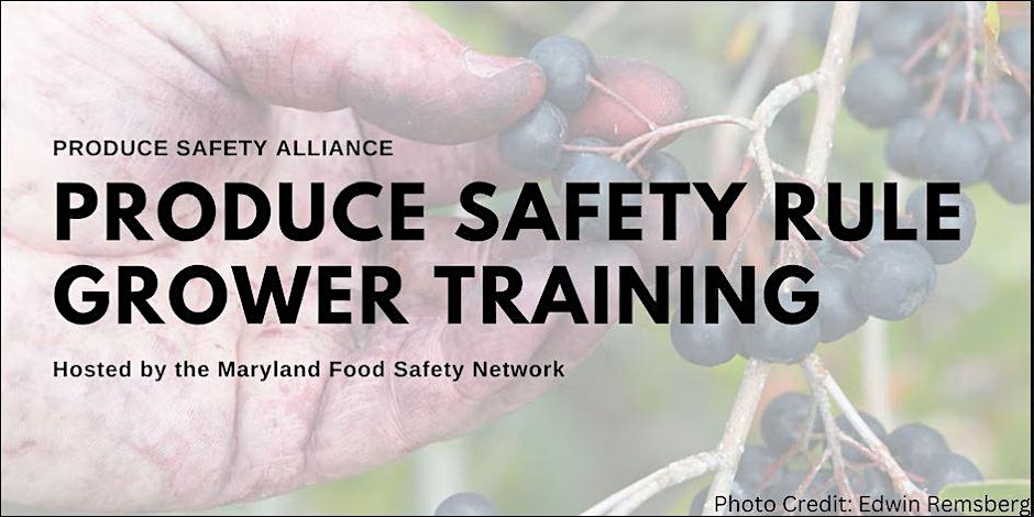 Image of project's name Maryland Food Safety Network with hand olding fruit.