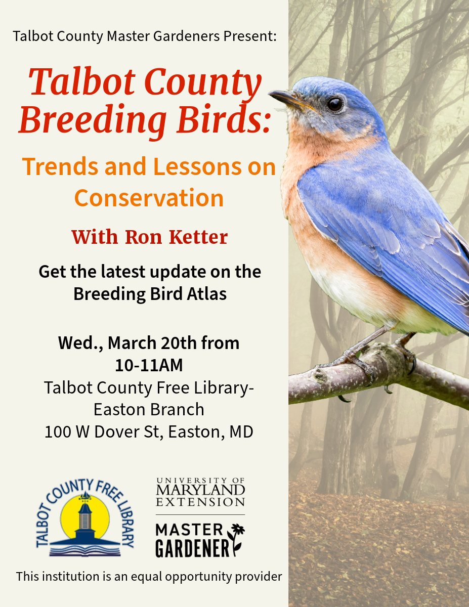 Flyer with bluebird featuring details about the program.