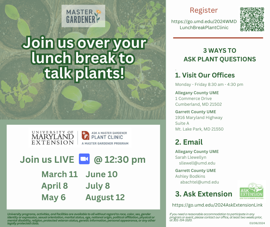 Lunch Break Gardening Q & A - Virtual Plant Clinic- UME Extension Dates and Times.  Please reach out to Sllewell@umd.edu for more information. 