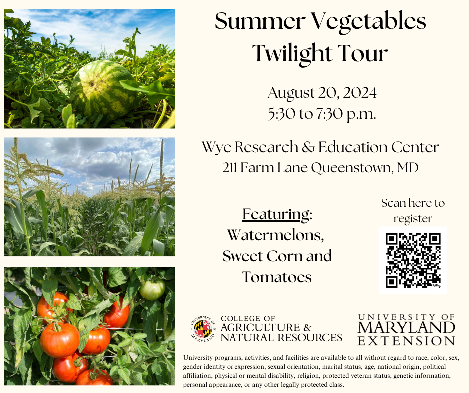 Summer Vegetable Twilight Tour - WREC