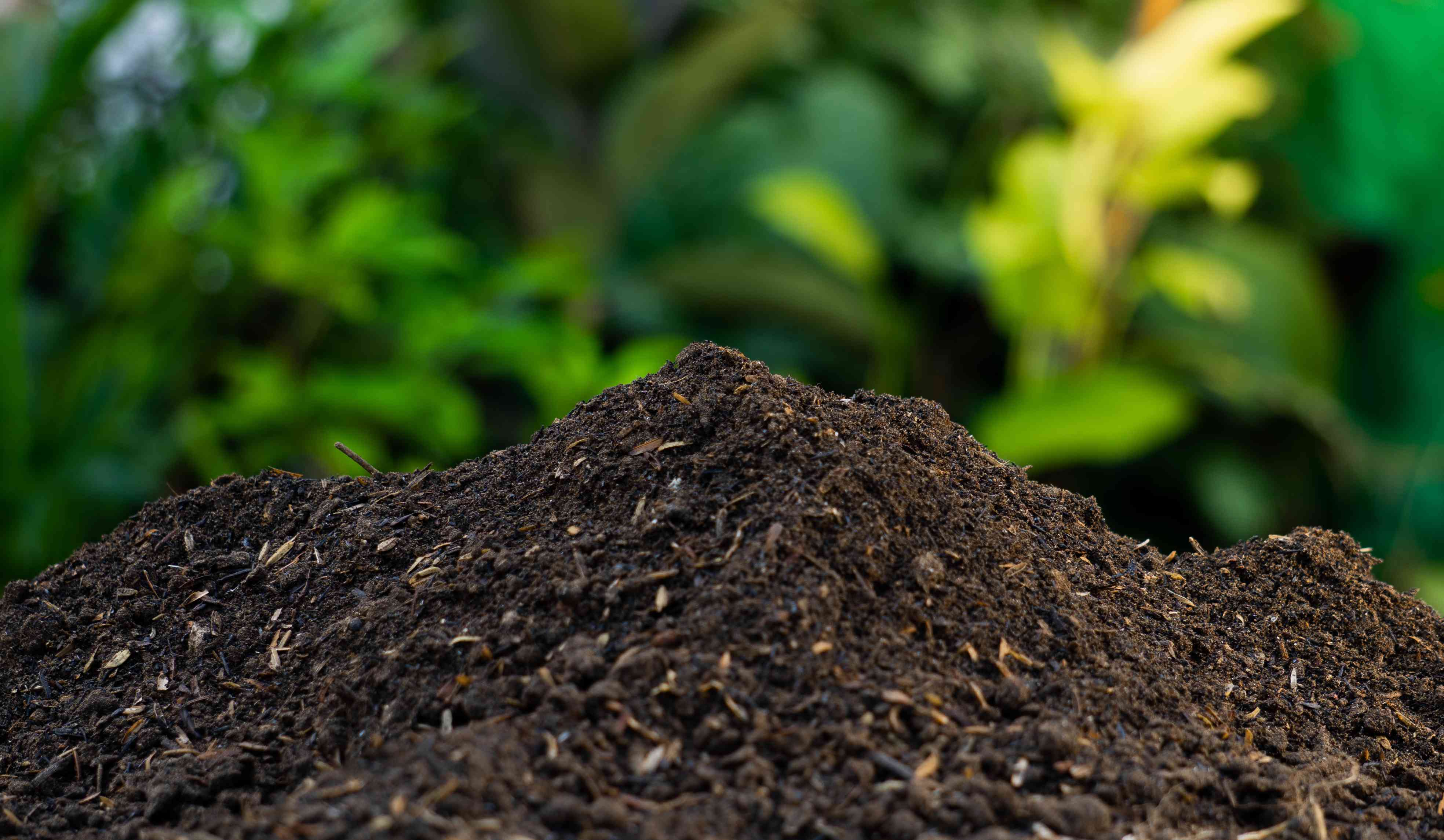 Brown compost with green leaves in background