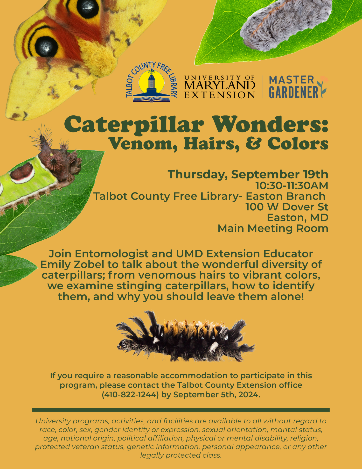 Information about event featuring images of caterpillars with hairs