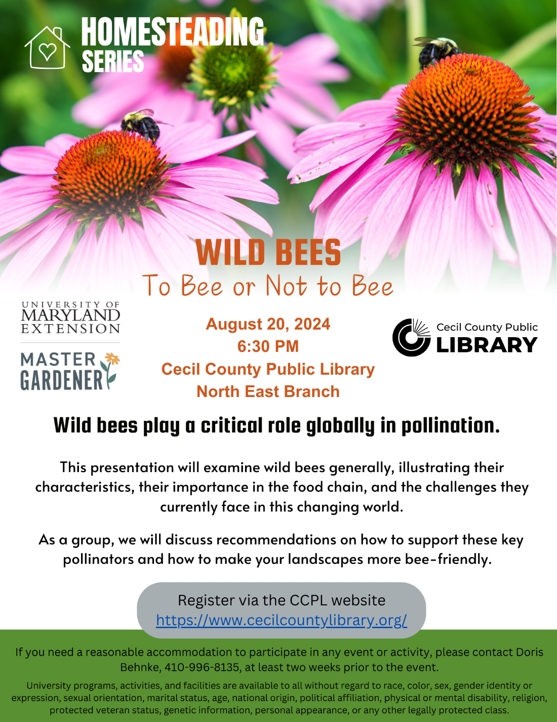 Wild Bees Presentation Flyer