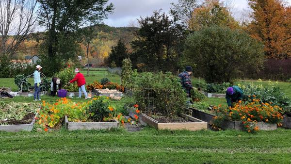 Gardeners in fall clothes working outside in raised garden beds