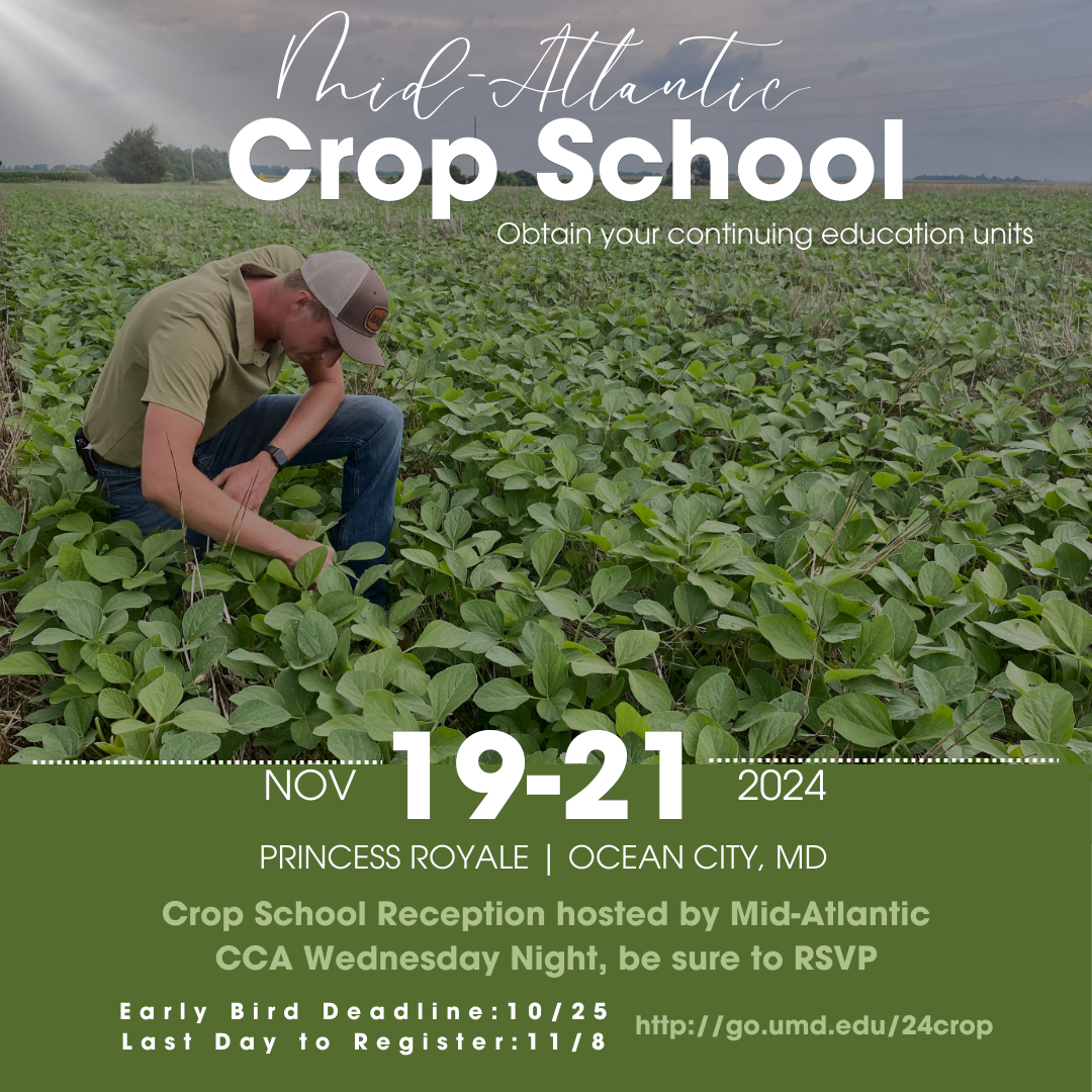 man kneeling in soybean field checking plants with text advertising Crop School event