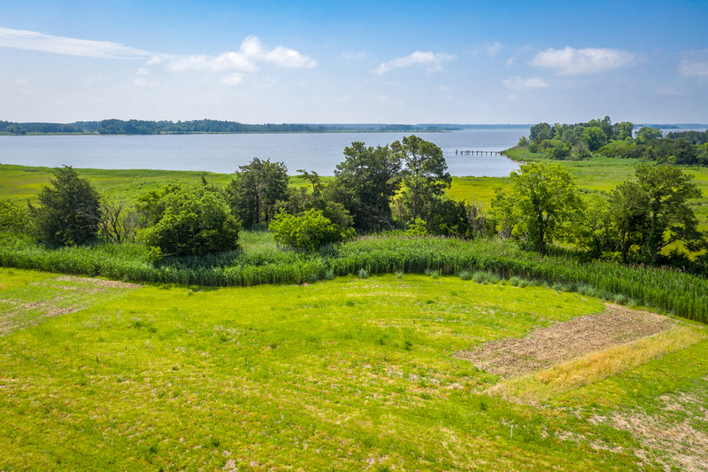 Green field lined with trees