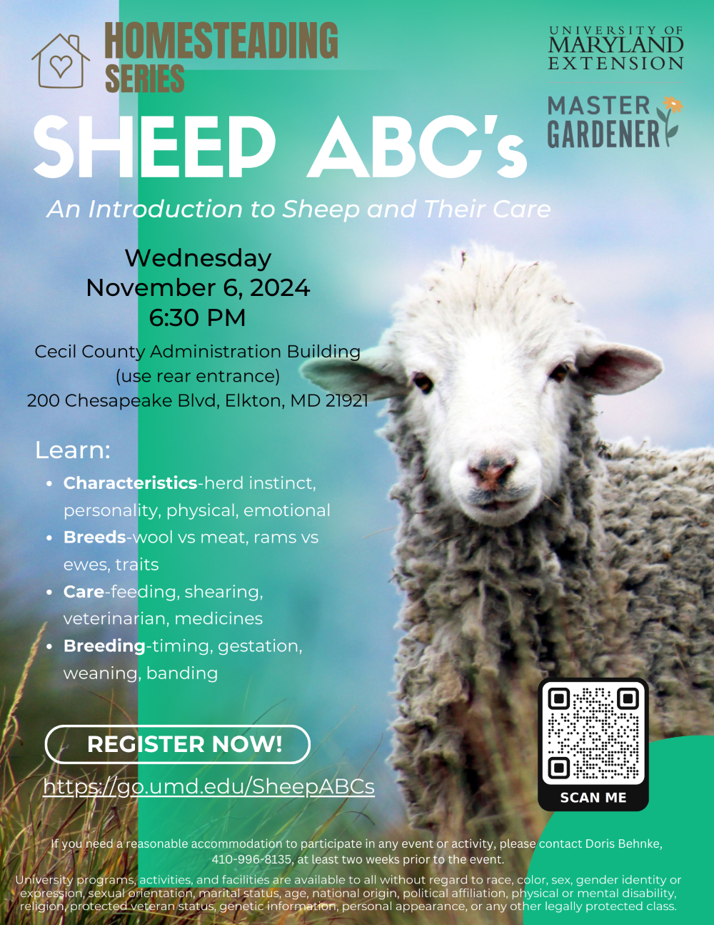 Sheep ABCs Flyer