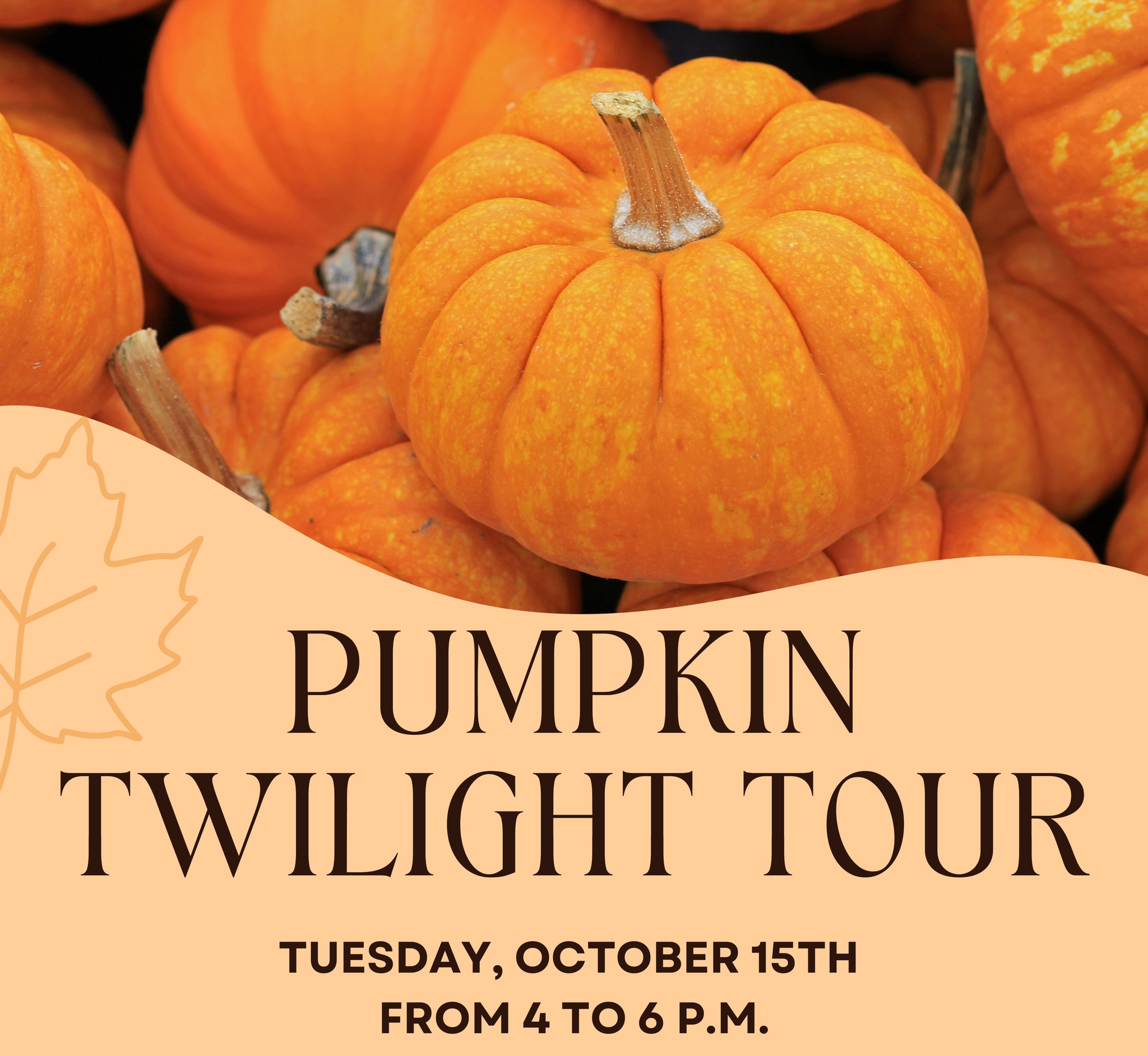 Pumpkin Twilight Tour event graphic