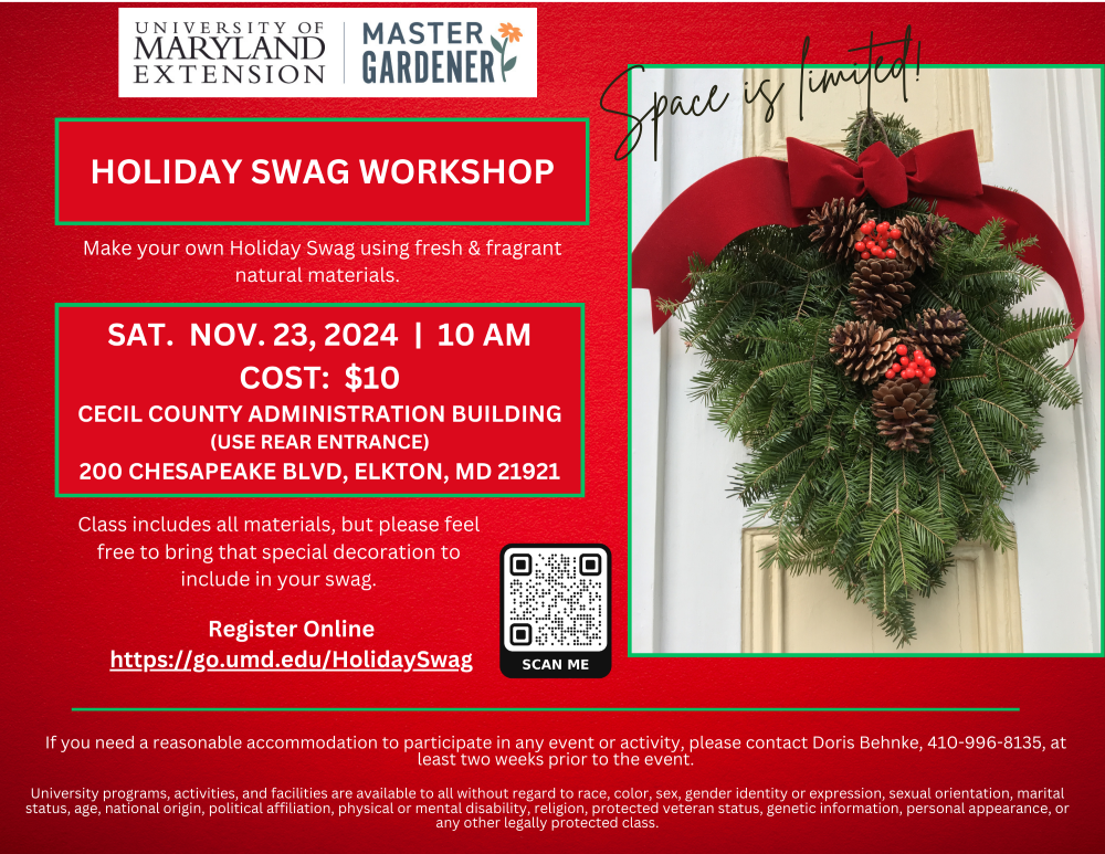 Holiday Swag Workshop