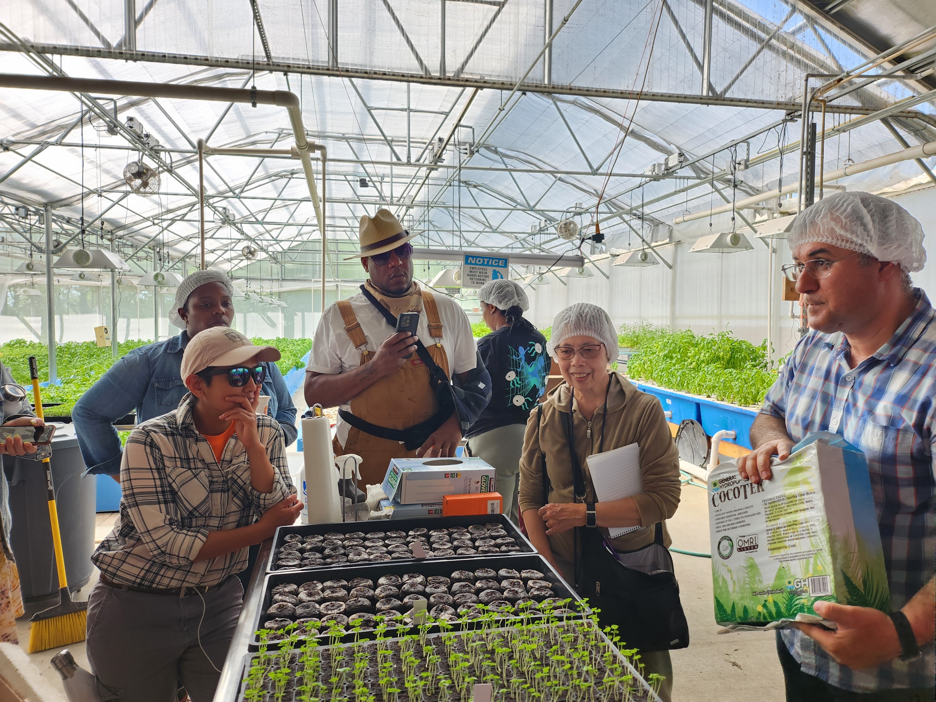 Several people gather around a table with seedling plants. 