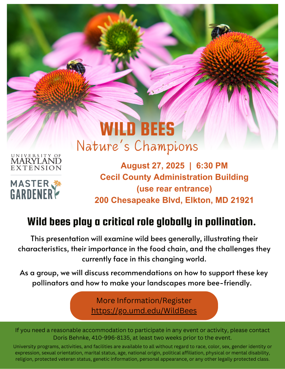 Wild Bees Presentation Flyer