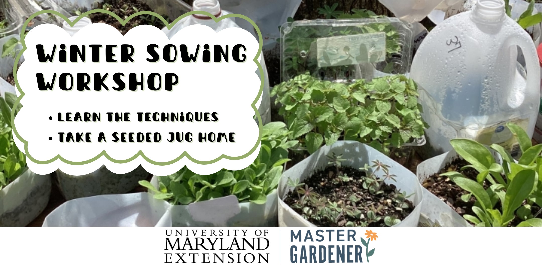 Learn the Techniques and take home a seeded jug. UME Master Gardener program.