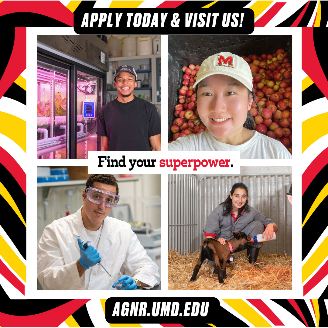 Collage of four students with Find Your Superpower info