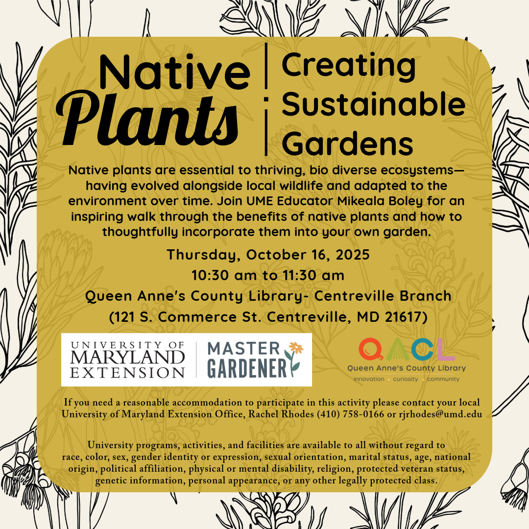 Flier detailing the date of the event, event parameters, accommodation statement, and the University accessibility statement.  