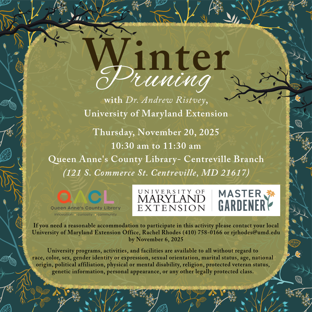 Flier detailing the date of the event, event parameters, accommodation statement, and the University accessibility statement.  