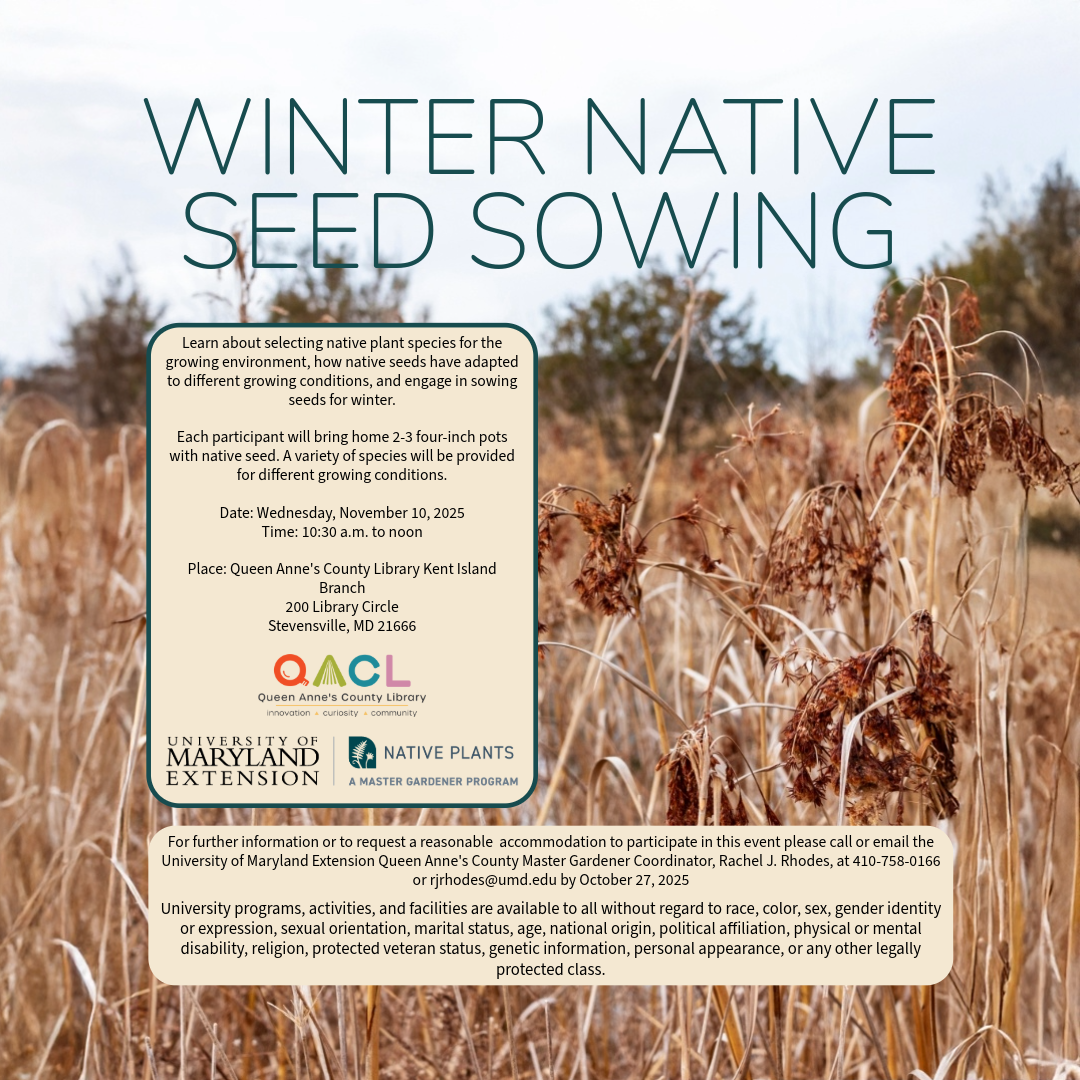 Flier detailing the date of the event, event parameters, accommodation statement, and the University accessibility statement.  