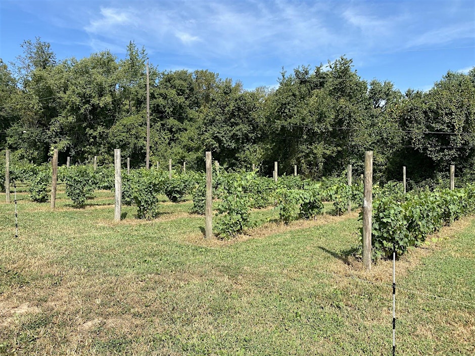 Urban Farming Research Clinic