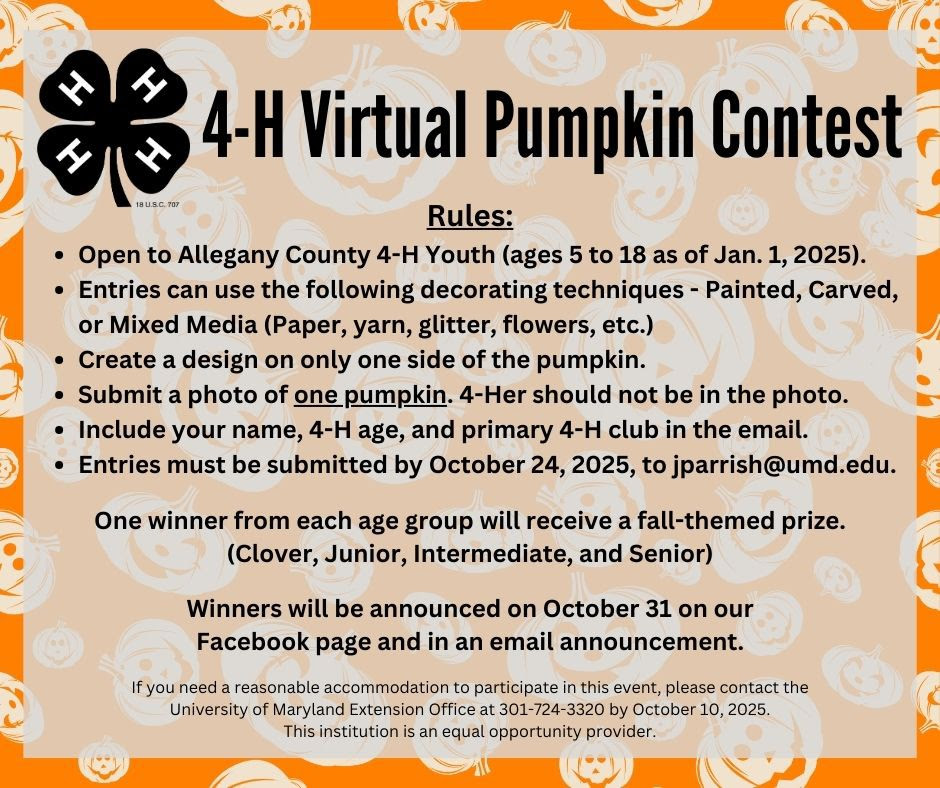 Allegany County 4-H Virtual Pumpkin Contest 2025