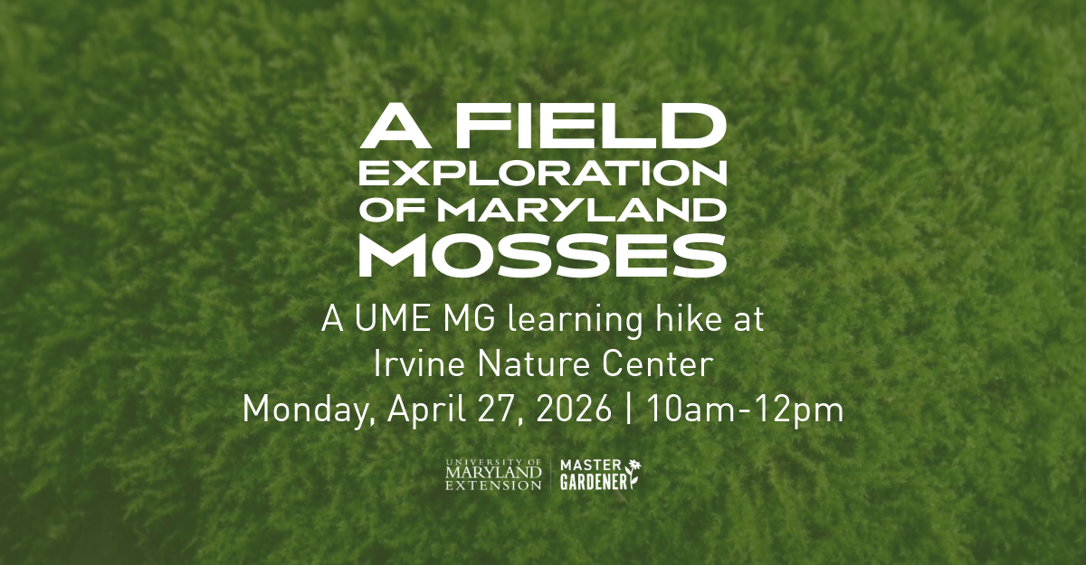 Text that reads A Field Explanation of Maryland Mosses: A UME MG learning hike at Irvine Nature Center on April 27 from 10am-2pm