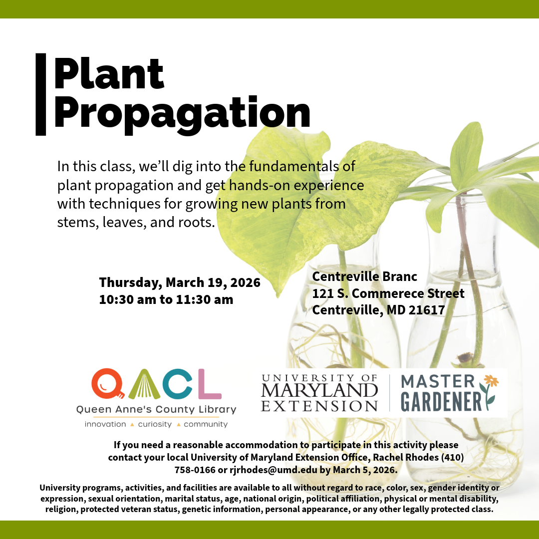 Flyer detailing the date of the event, event parameters, accommodation statement, and the University accessibility statement.  