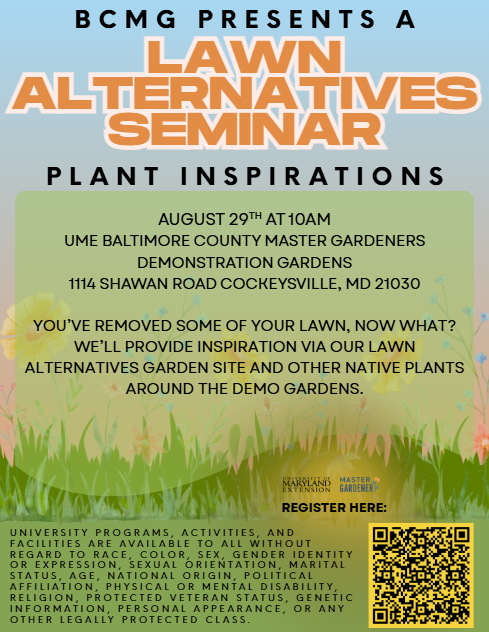 Flyer for event with date, time and description.