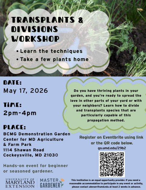 Flyer for event with date, time and details.