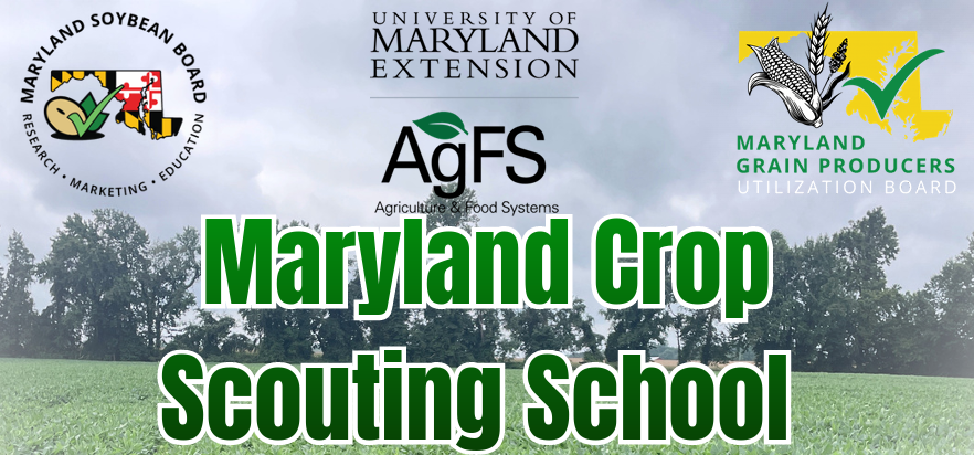 Flyer for the Maryland Crop Scouting School, soybean field with Maryland Crop Scouting School overlayed. 