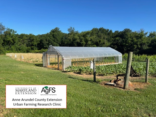 Image of late spring Urban Farm with the High Tunnel and the Logo for UME AGFS and Anne Arundel County Extension Urban Farm Research Clinic