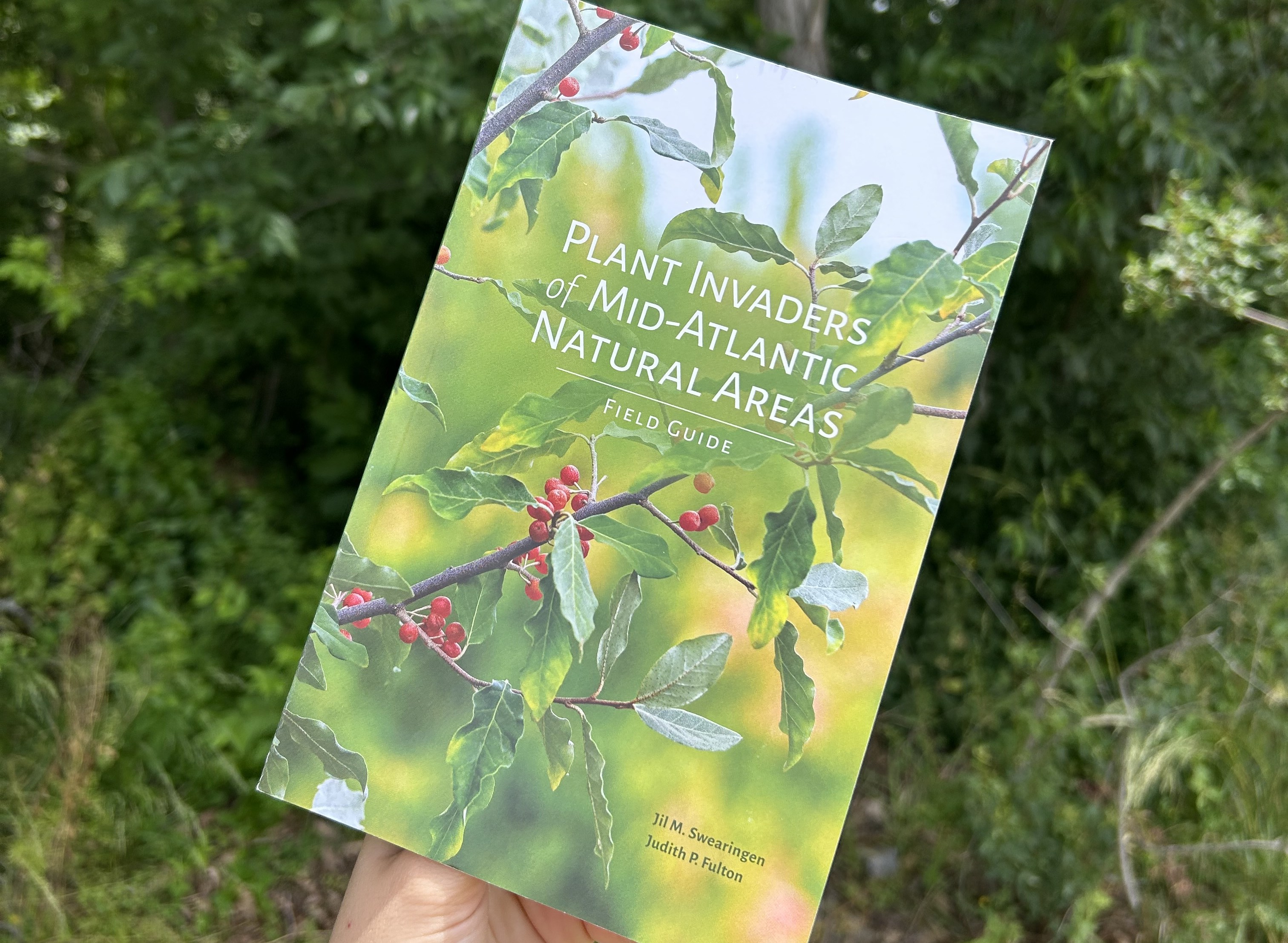 Picture of a book titled "Plant Invaders of Mid-Atlantic Natural Areas Field Guild" in front of a forested background