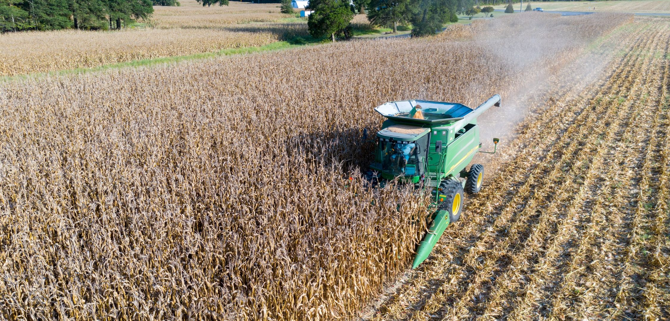 photo of a combine harvester in corn