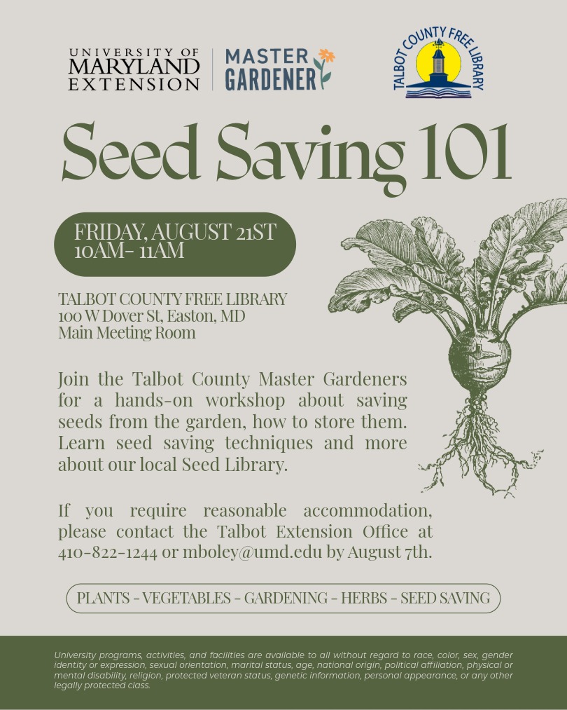 Flyer featuring details about Seed Saving 101 with image of a kohlrabi plant.