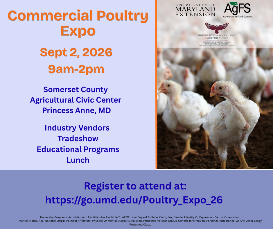 image of young commercial meat birds with text  from event description repeated