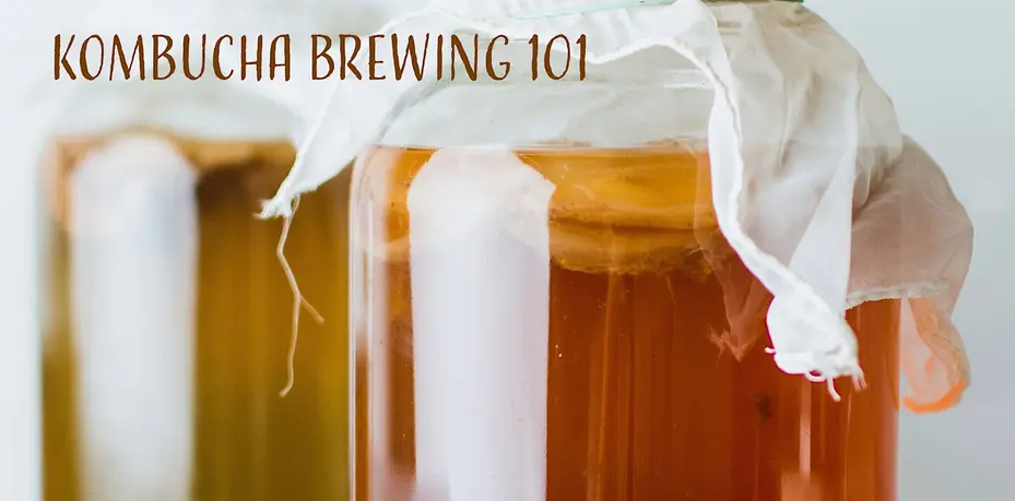 Kombucha with SCOBY, covered with cheesecloth.
