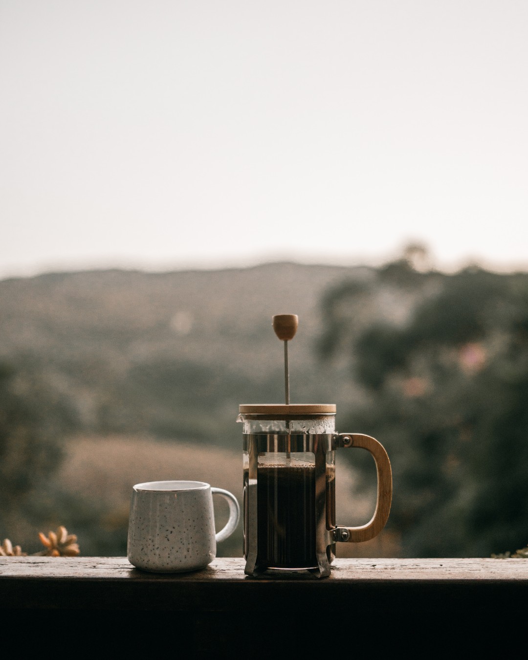 French press coffee with mountains in the background