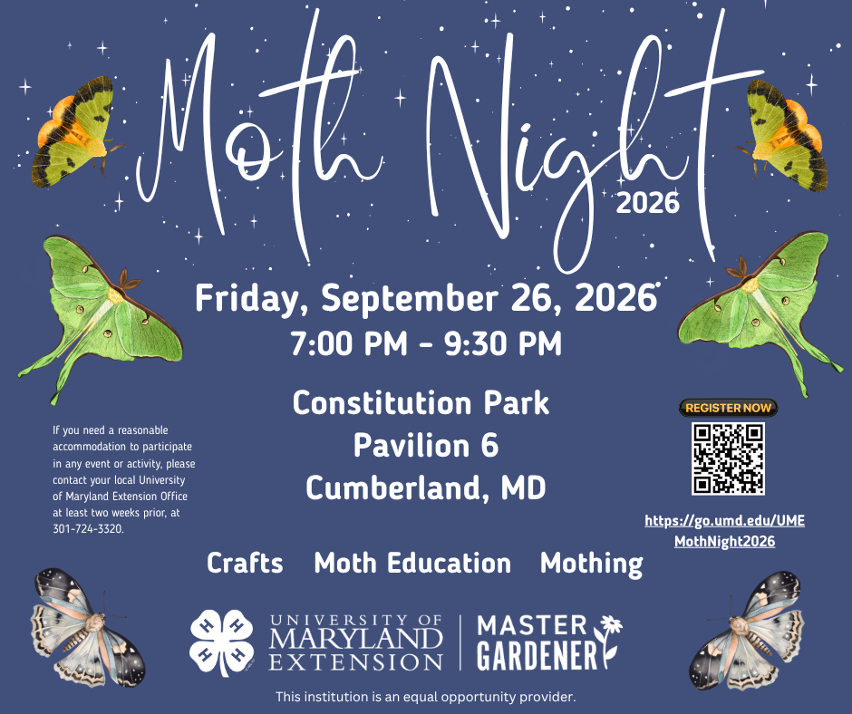 Colorful moths in blue sky with sparkling stars graphic flyer for Moth Night 