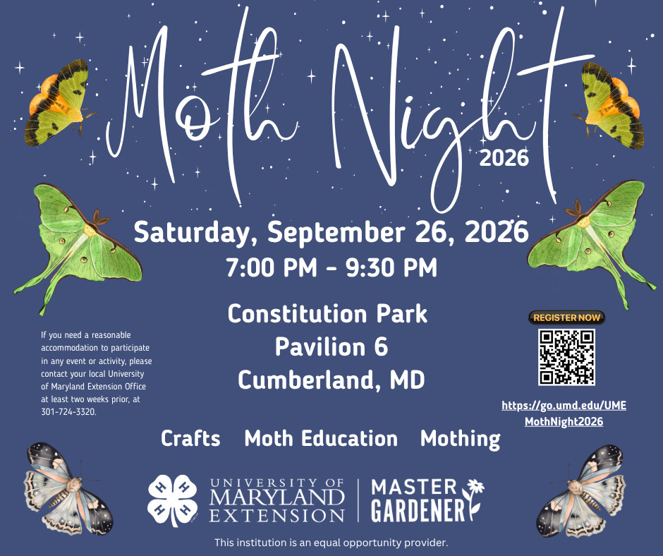 Colorful moths in blue sky with sparkling stars graphic flyer for Moth Night 
