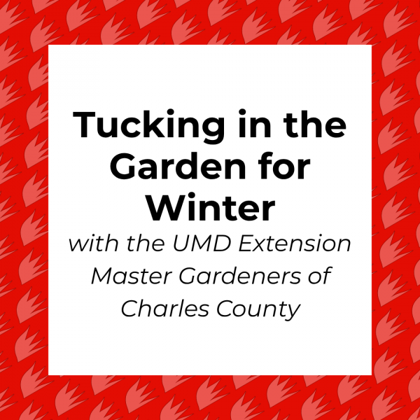 Workshop title: Tucking in the Garden for Winter
