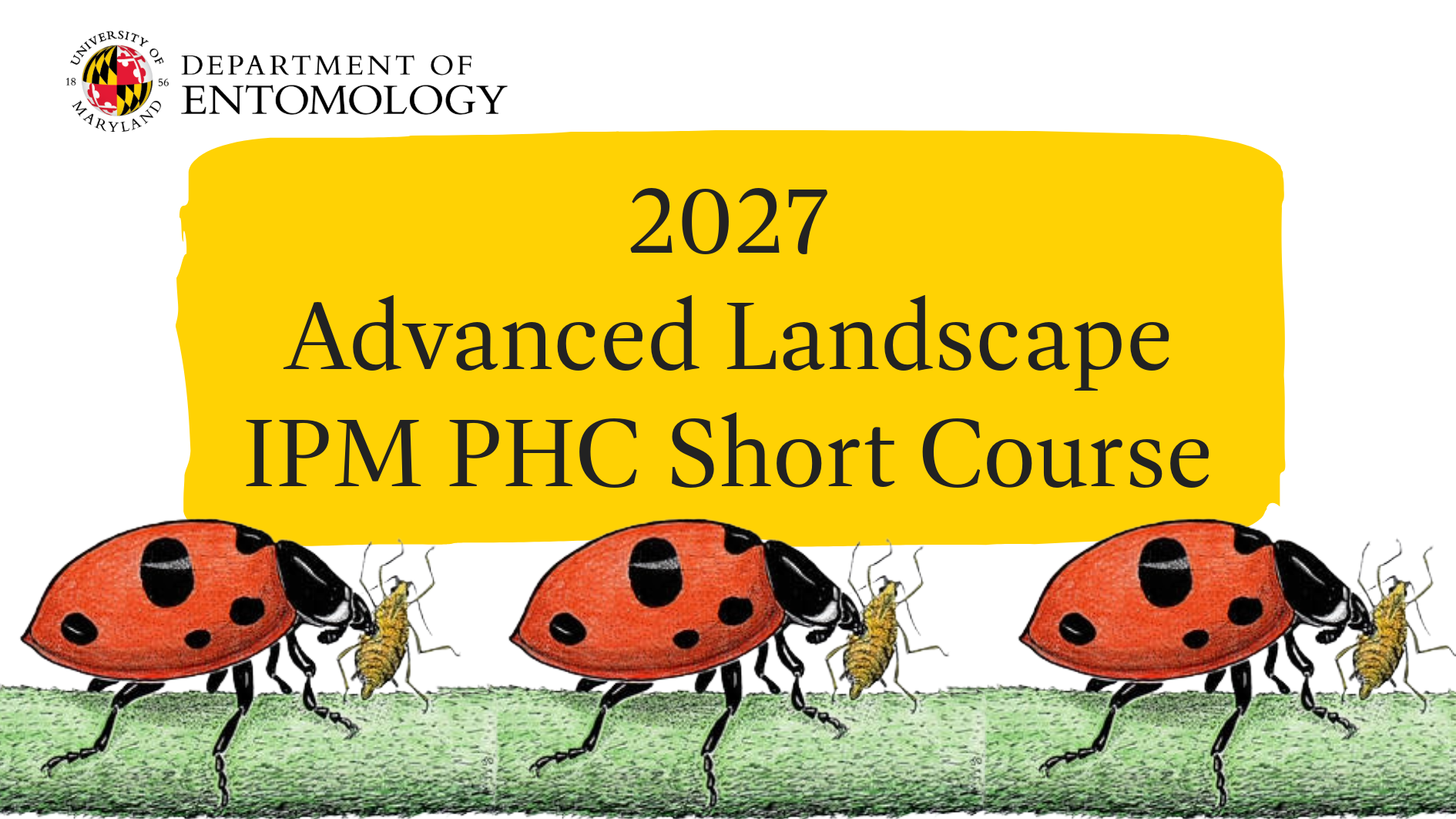 Short course advertisement displaying name of course, host logo and drawing of lady beetles eating aphids. 