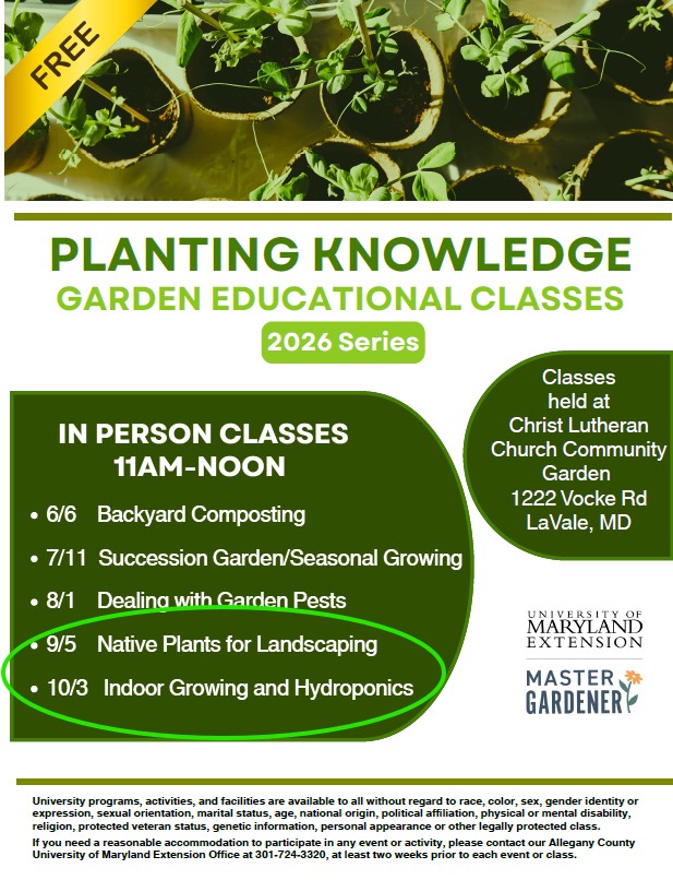 Seedlings and flyer for garden education classes. 