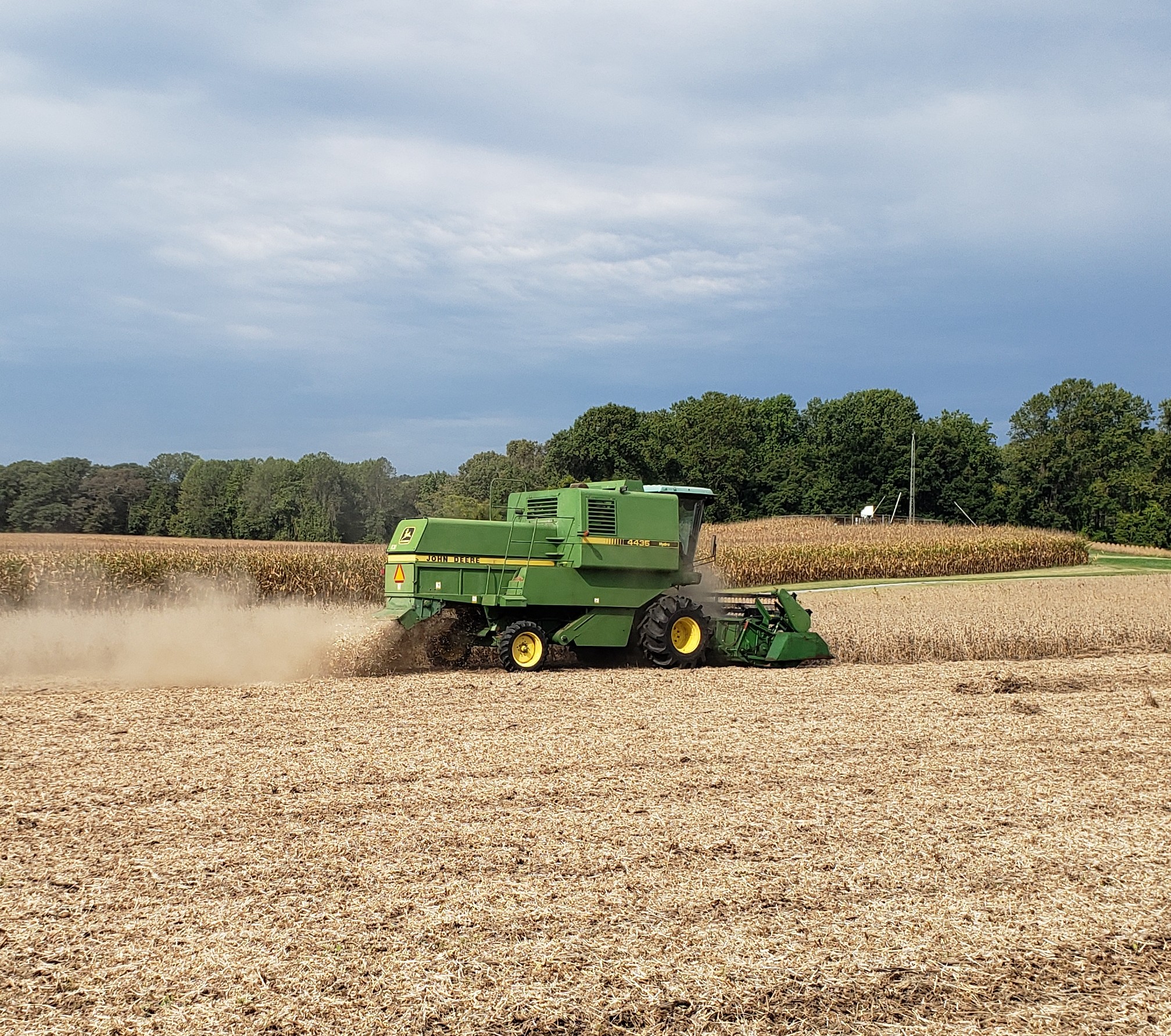 Harvest time in Upper Marlboro