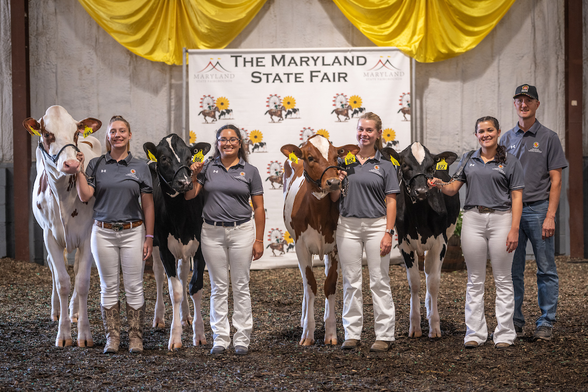 AGNR students with cows at the State Fair