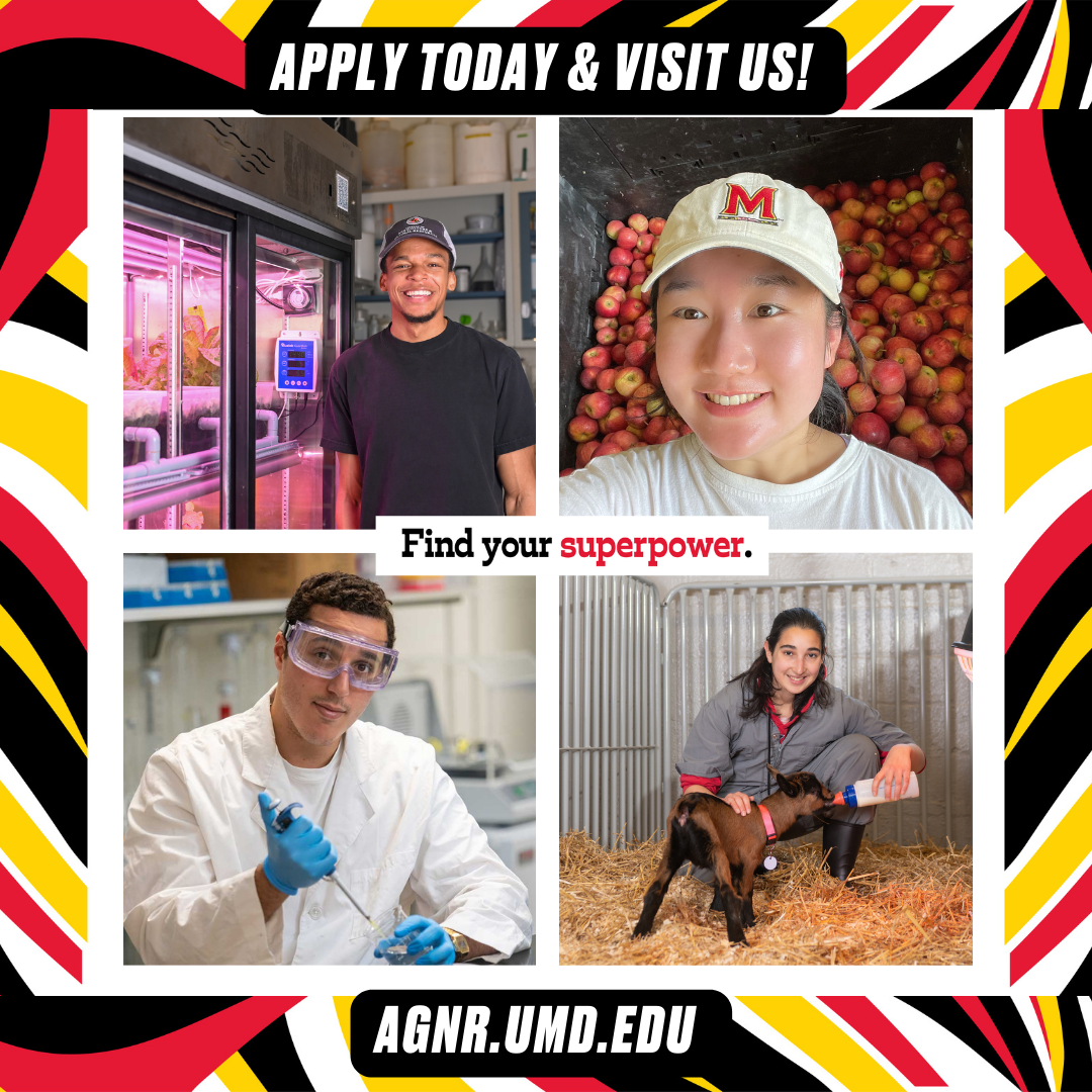 Students exemplify the many  hands-on learning opportunities within the College of Agriculture and Natural Resources.