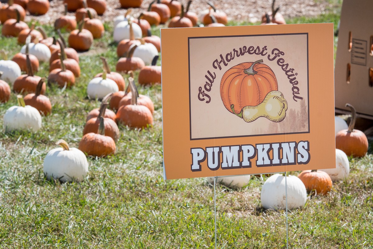 A photo of a sign for a fall harvest festival with pumpkins in the background.